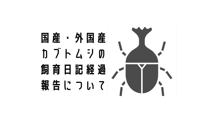 カブトムシとヘラクレスオオカブトの幼虫飼い方日記経過報告